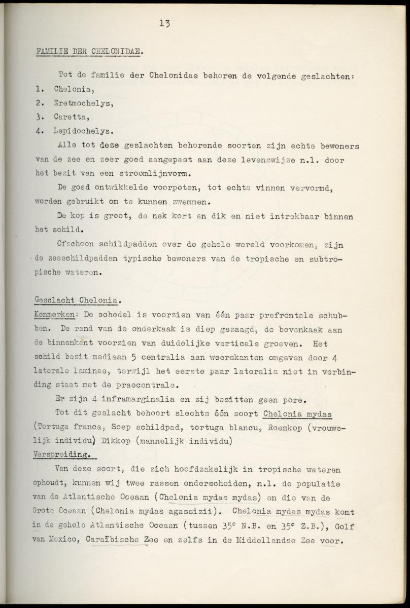 Z Schildpadden en hun betekenis voor de Nederlandse Antillen - New Page