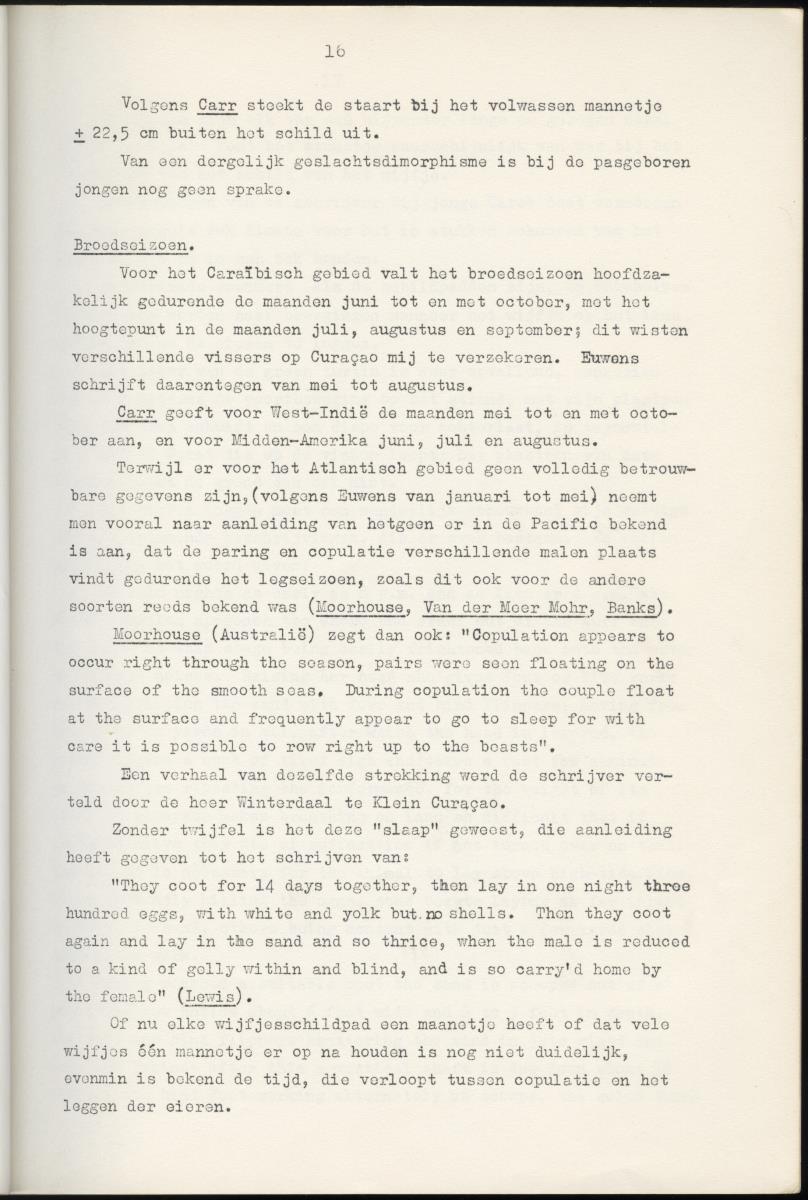 Z Schildpadden en hun betekenis voor de Nederlandse Antillen - New Page