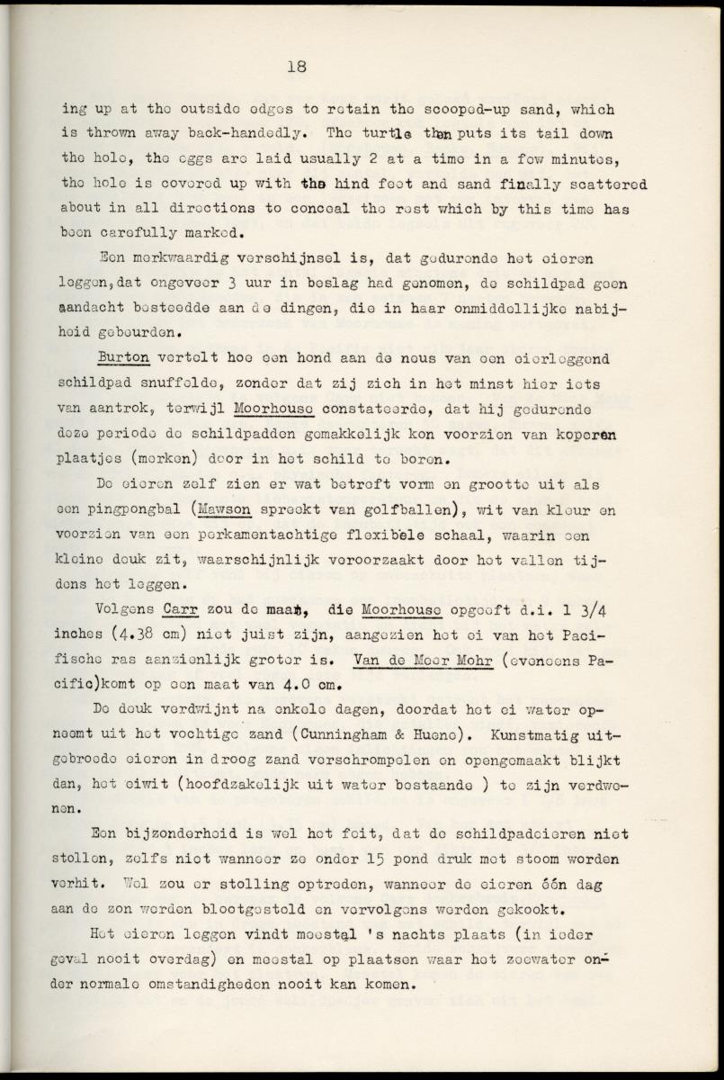 Z Schildpadden en hun betekenis voor de Nederlandse Antillen - New Page