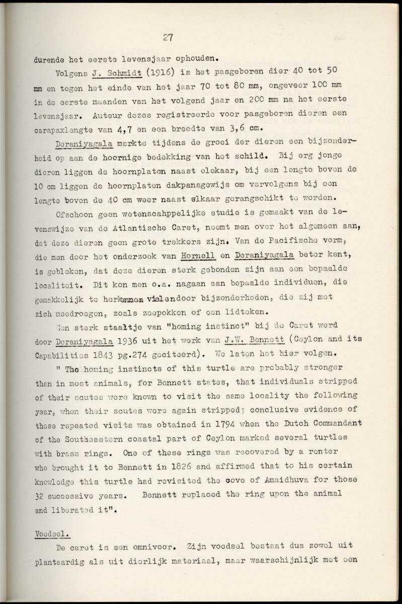Z Schildpadden en hun betekenis voor de Nederlandse Antillen - New Page