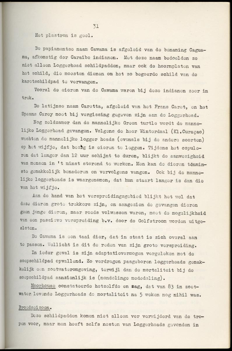 Z Schildpadden en hun betekenis voor de Nederlandse Antillen - New Page