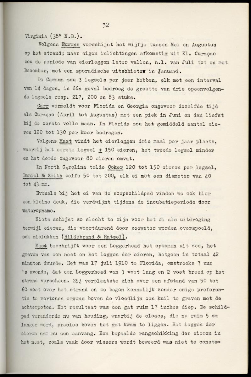 Z Schildpadden en hun betekenis voor de Nederlandse Antillen - New Page