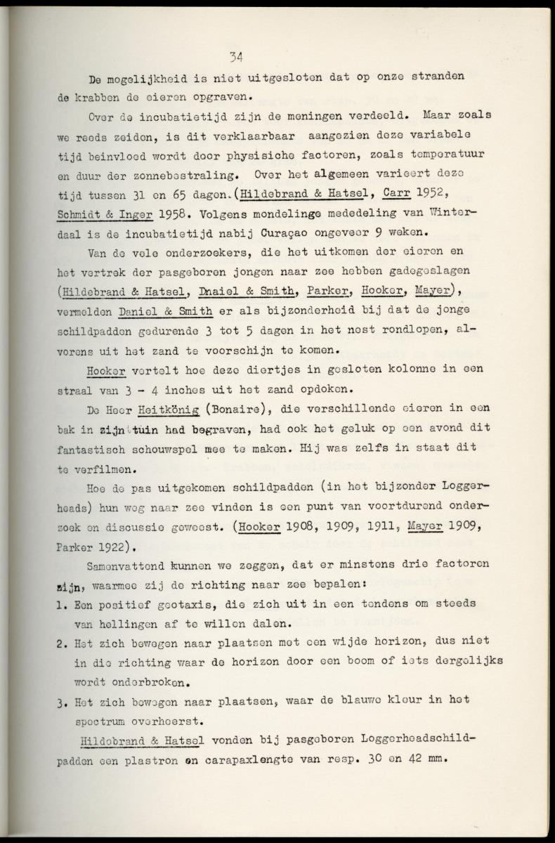 Z Schildpadden en hun betekenis voor de Nederlandse Antillen - New Page