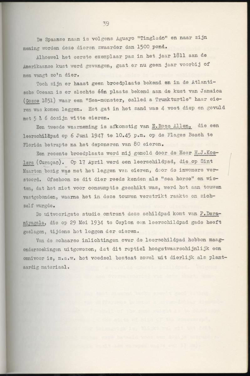 Z Schildpadden en hun betekenis voor de Nederlandse Antillen - New Page