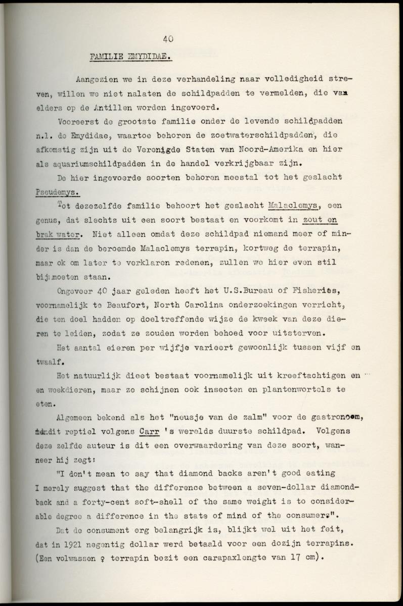 Z Schildpadden en hun betekenis voor de Nederlandse Antillen - New Page