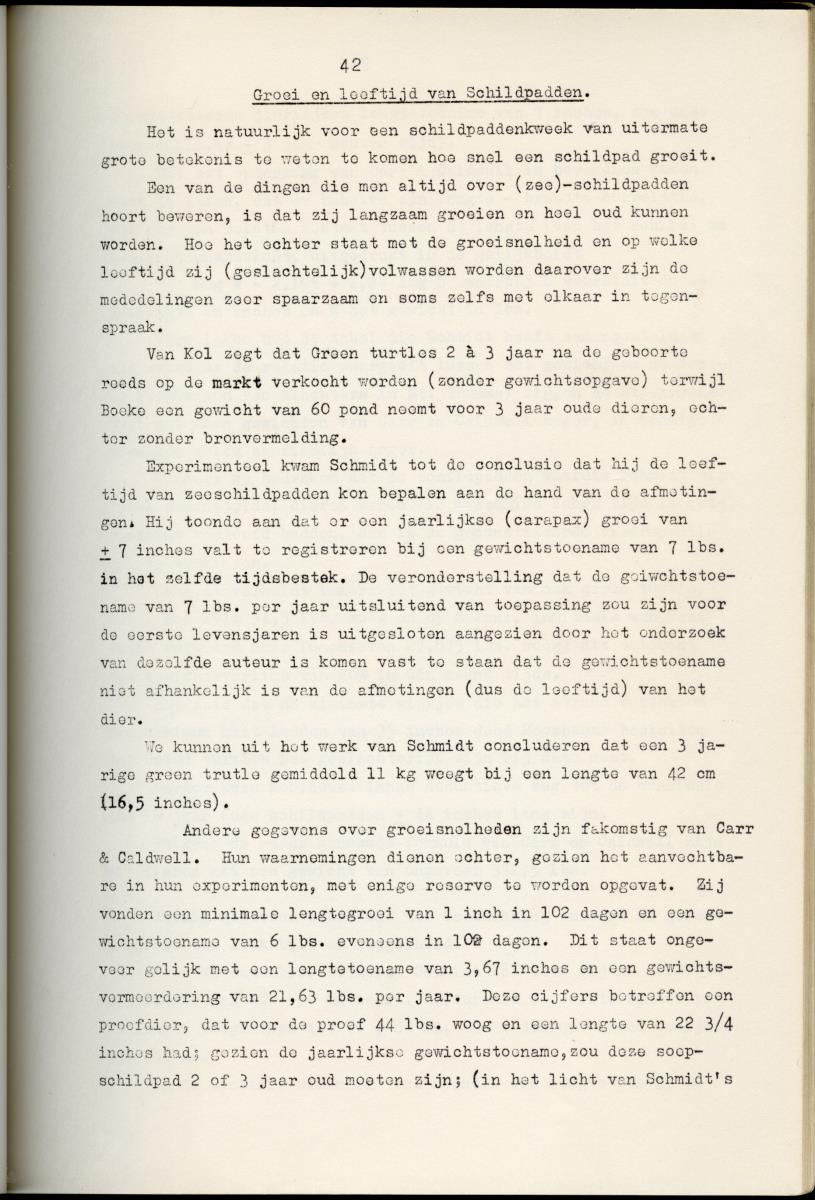 Z Schildpadden en hun betekenis voor de Nederlandse Antillen - New Page