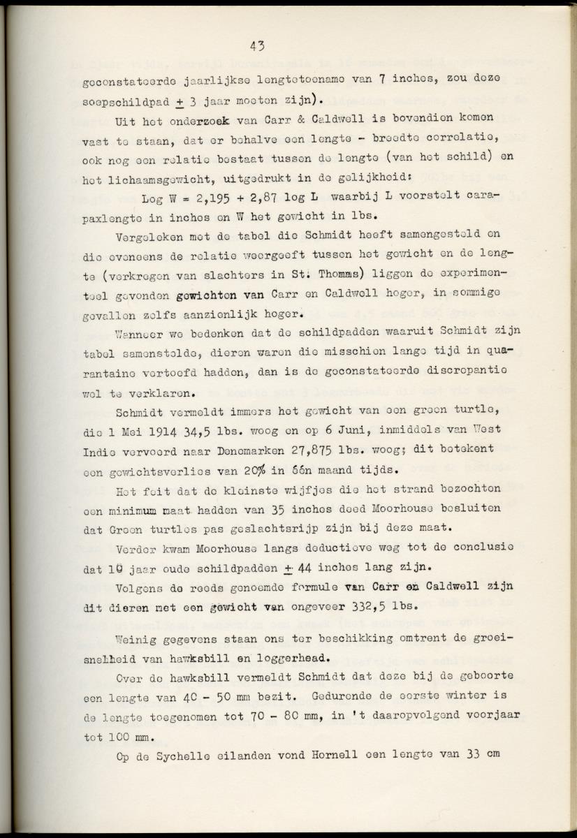 Z Schildpadden en hun betekenis voor de Nederlandse Antillen - New Page