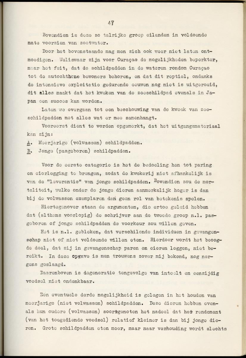 Z Schildpadden en hun betekenis voor de Nederlandse Antillen - New Page