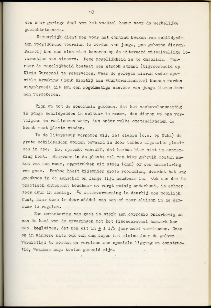 Z Schildpadden en hun betekenis voor de Nederlandse Antillen - New Page