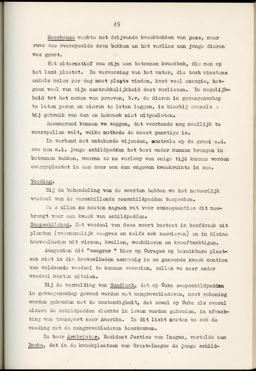 Z Schildpadden en hun betekenis voor de Nederlandse Antillen - New Page