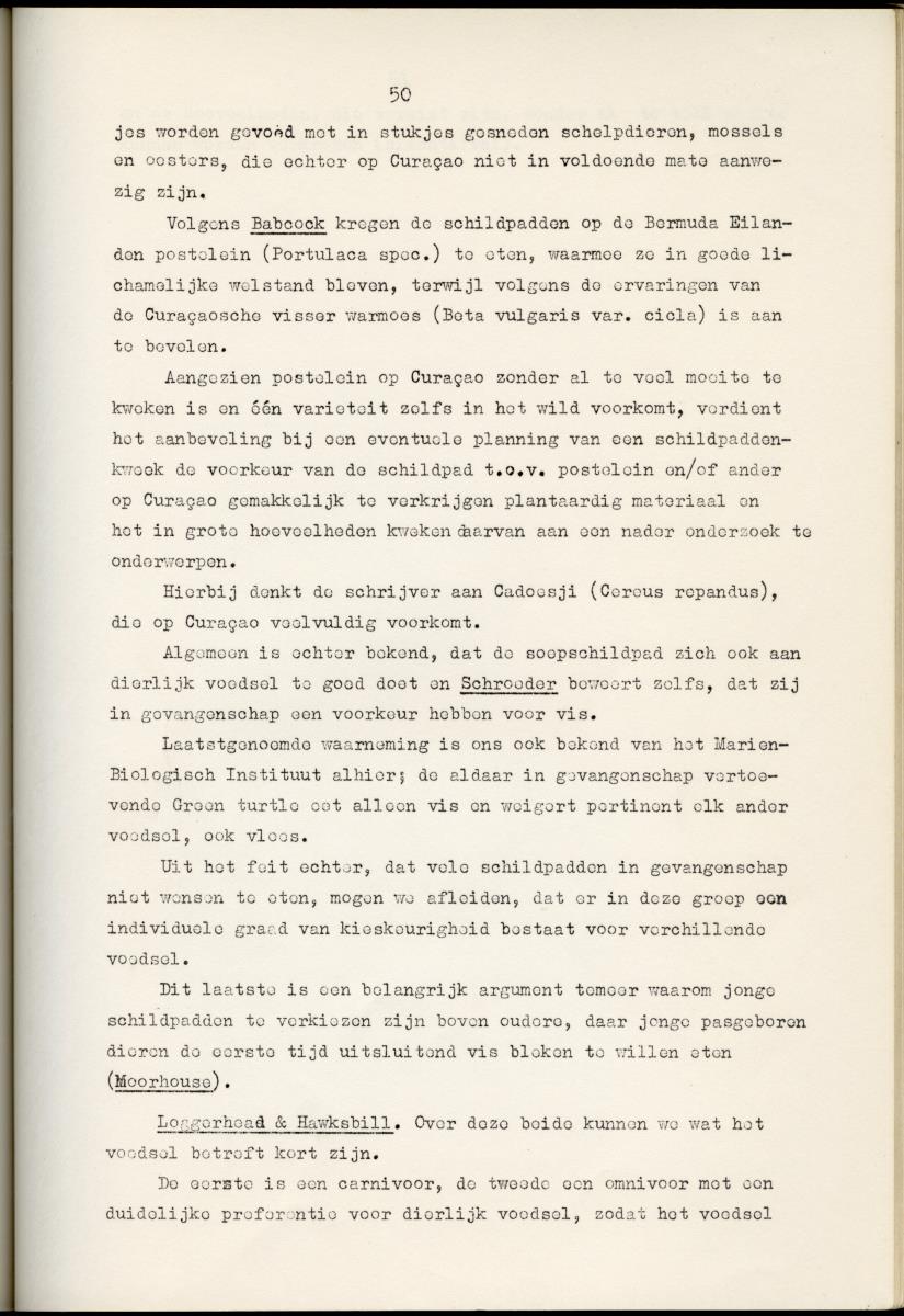 Z Schildpadden en hun betekenis voor de Nederlandse Antillen - New Page