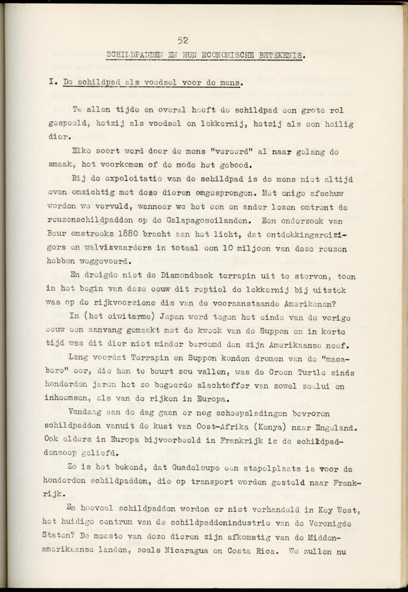 Z Schildpadden en hun betekenis voor de Nederlandse Antillen - New Page