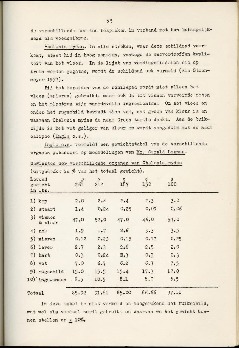 Z Schildpadden en hun betekenis voor de Nederlandse Antillen - New Page