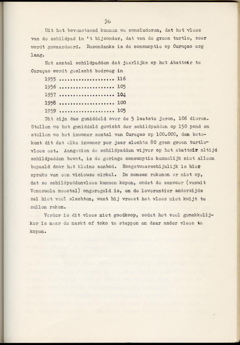 Z Schildpadden en hun betekenis voor de Nederlandse Antillen - New Page