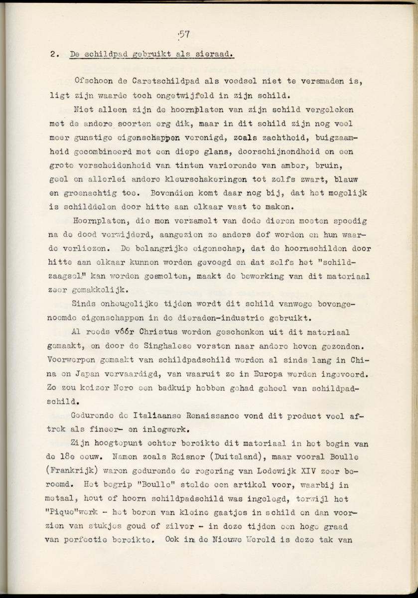 Z Schildpadden en hun betekenis voor de Nederlandse Antillen - New Page