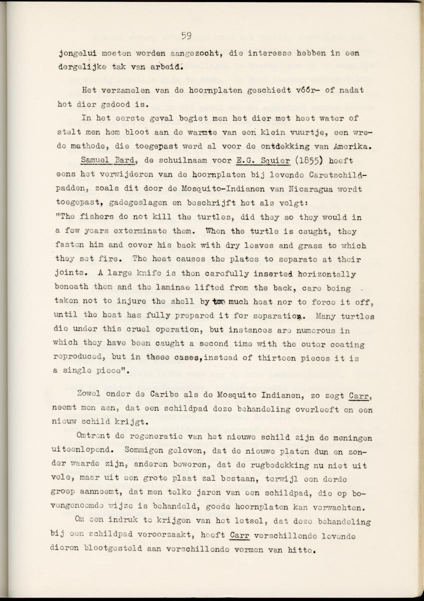 Z Schildpadden en hun betekenis voor de Nederlandse Antillen - New Page