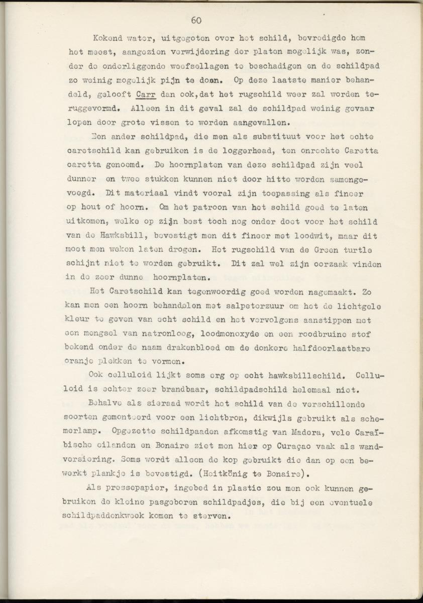 Z Schildpadden en hun betekenis voor de Nederlandse Antillen - New Page