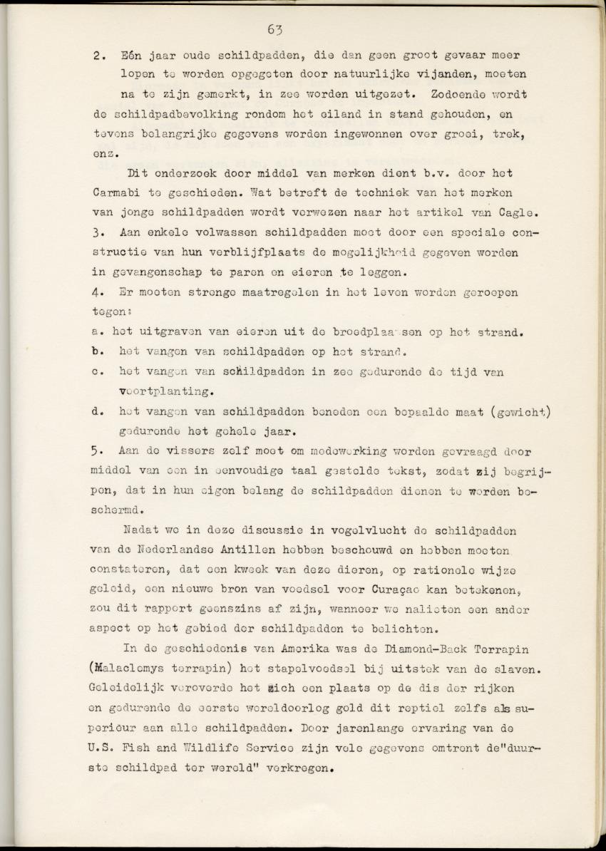 Z Schildpadden en hun betekenis voor de Nederlandse Antillen - New Page