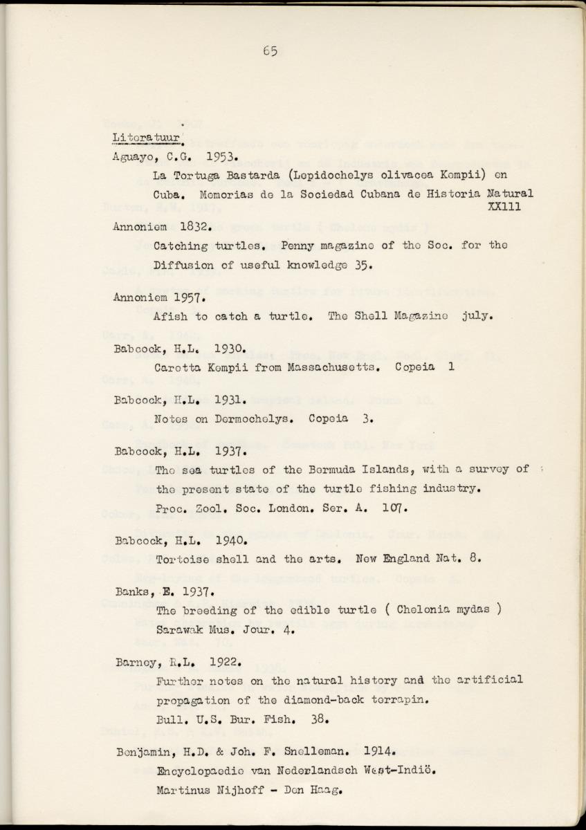 Z Schildpadden en hun betekenis voor de Nederlandse Antillen - New Page