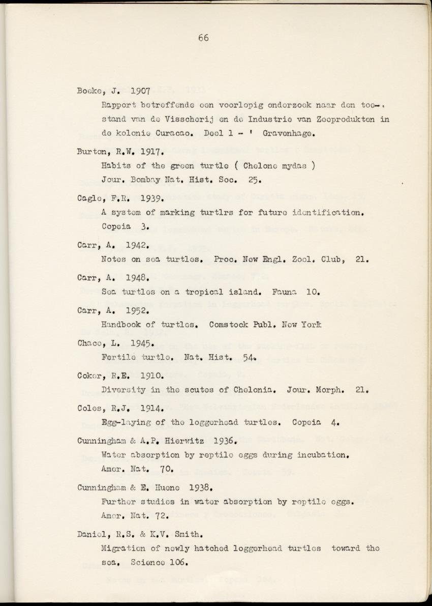 Z Schildpadden en hun betekenis voor de Nederlandse Antillen - New Page