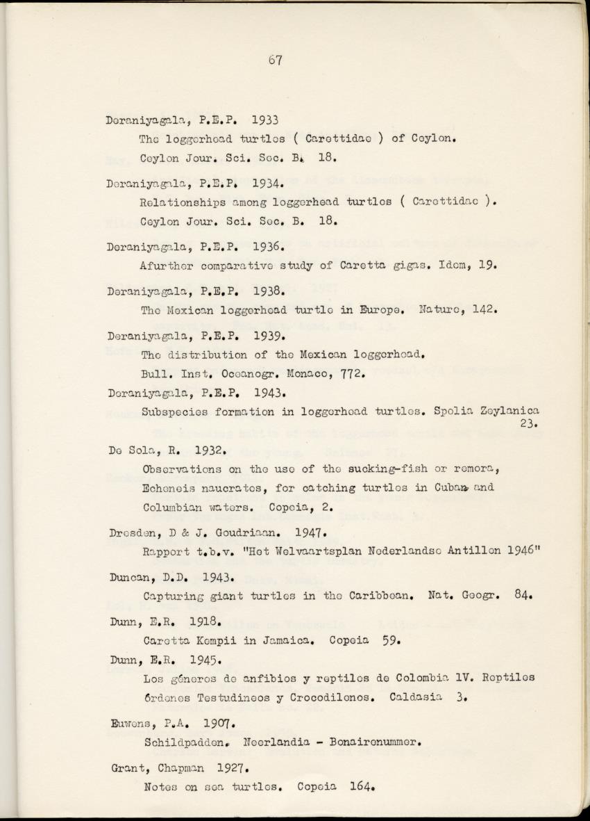 Z Schildpadden en hun betekenis voor de Nederlandse Antillen - New Page