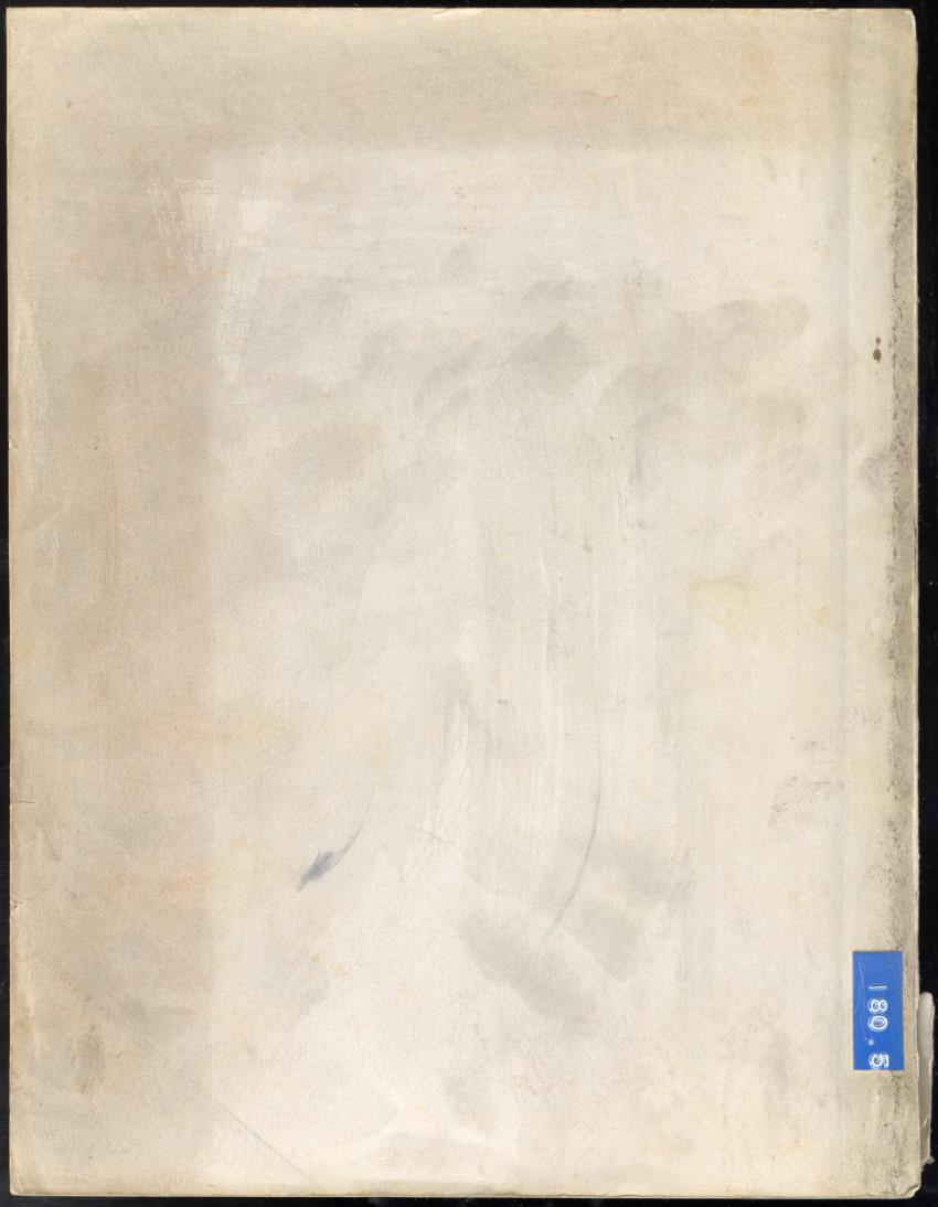 Z Schildpadden en hun betekenis voor de Nederlandse Antillen - New Page