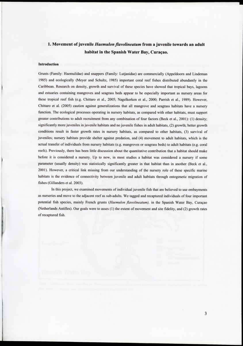 Z Movements of nursery reef fish in the Spanish Water Bay, Curacao - New Page