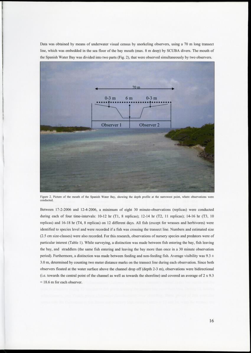 Z Movements of nursery reef fish in the Spanish Water Bay, Curacao - New Page