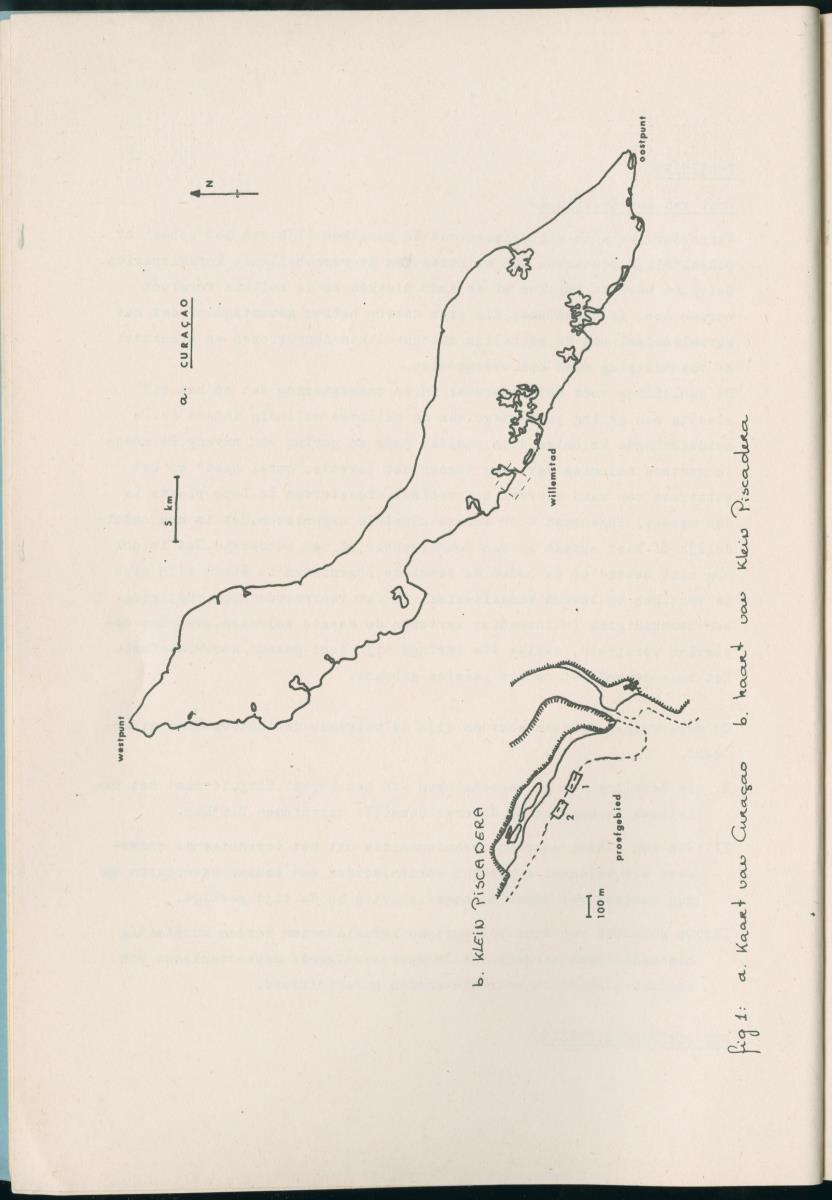 Z Aspekten van kompetitie tussen steenkoralen (scleractinia) en andere bentische rif-organismen - New Page
