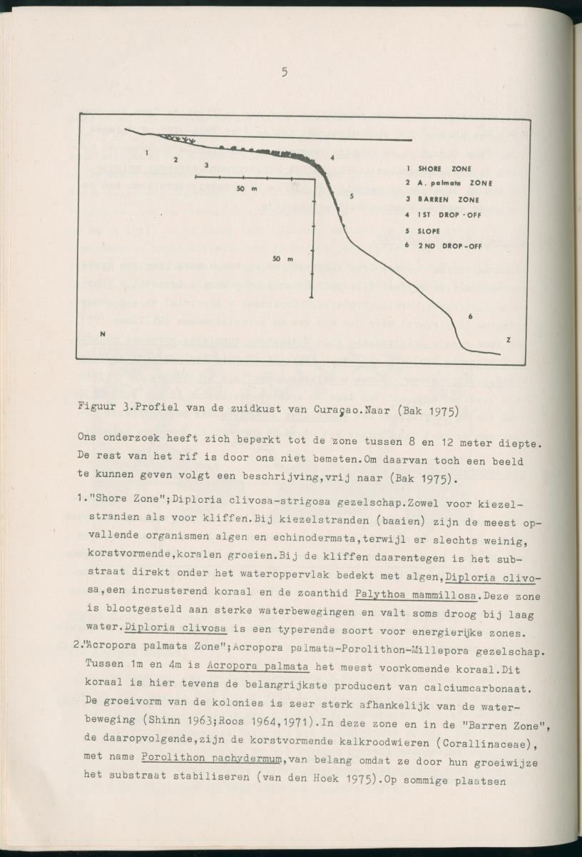 Z Aspekten van kompetitie tussen steenkoralen (scleractinia) en andere bentische rif-organismen - New Page