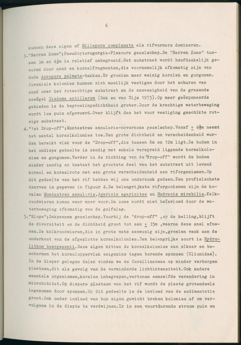 Z Aspekten van kompetitie tussen steenkoralen (scleractinia) en andere bentische rif-organismen - New Page