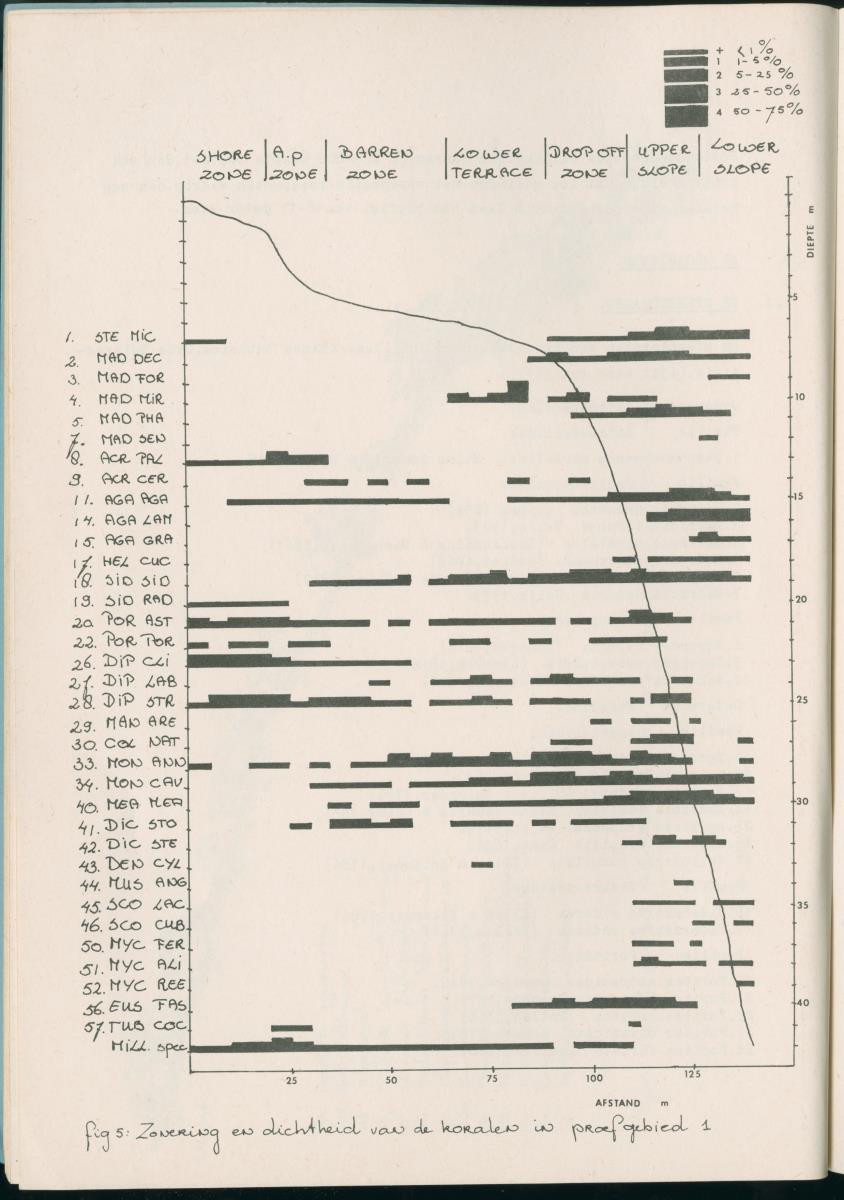 Z Aspekten van kompetitie tussen steenkoralen (scleractinia) en andere bentische rif-organismen - New Page