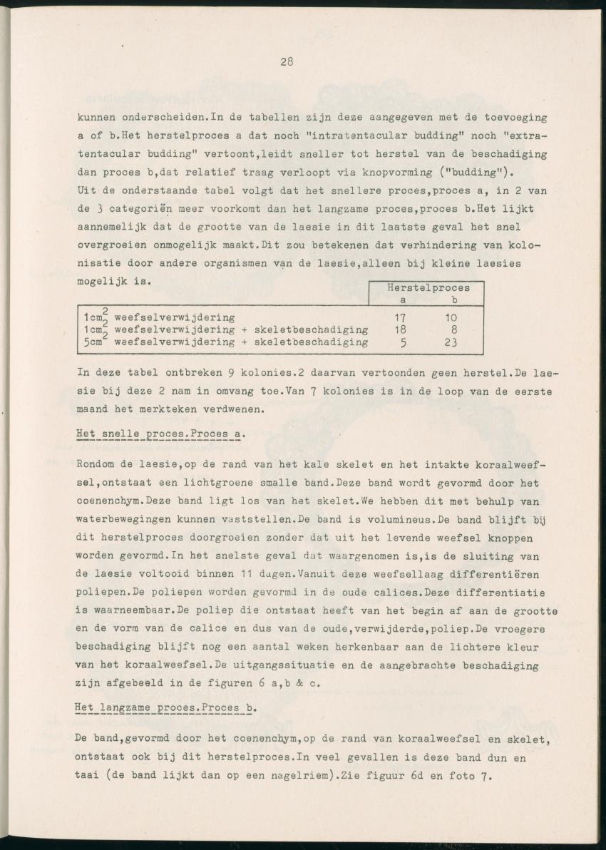 Z Aspekten van kompetitie tussen steenkoralen (scleractinia) en andere bentische rif-organismen - New Page