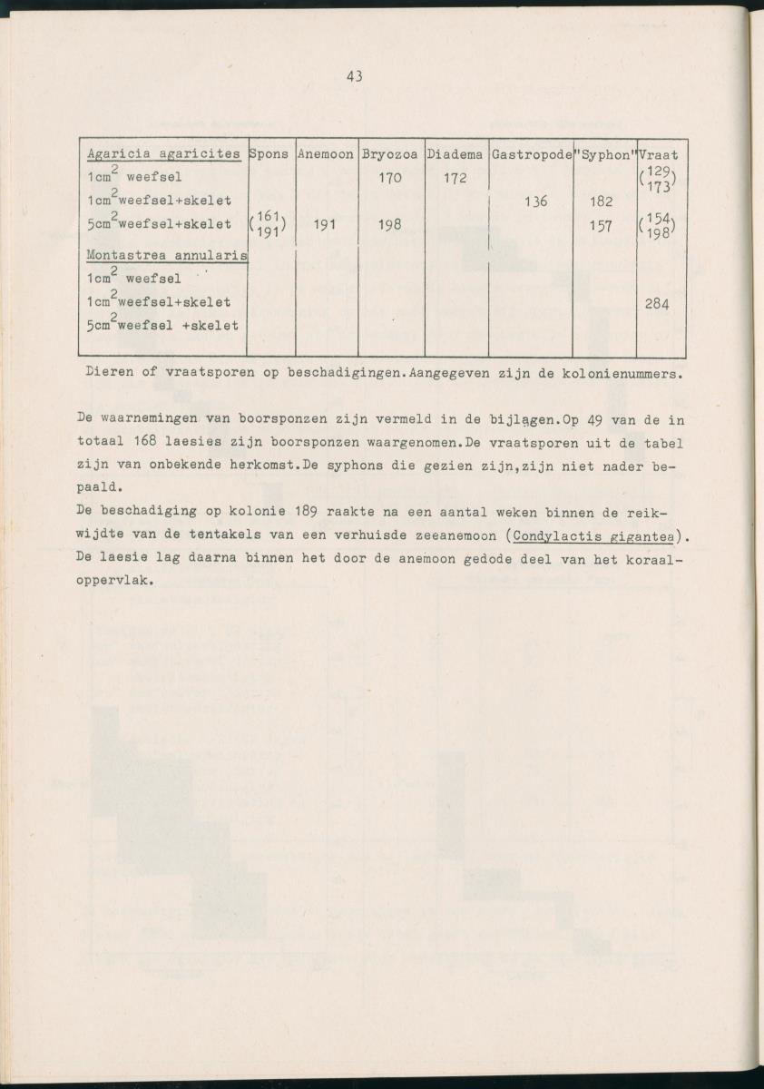 Z Aspekten van kompetitie tussen steenkoralen (scleractinia) en andere bentische rif-organismen - New Page