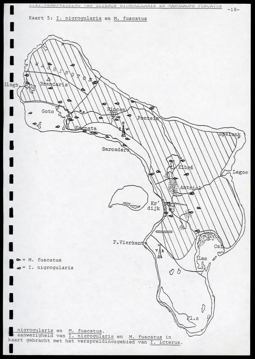 zI. Populatietelling van Amazona barbadensis Rothschildi in 1987. II. Icterus icterus, een aanwinst of niet? - New Page