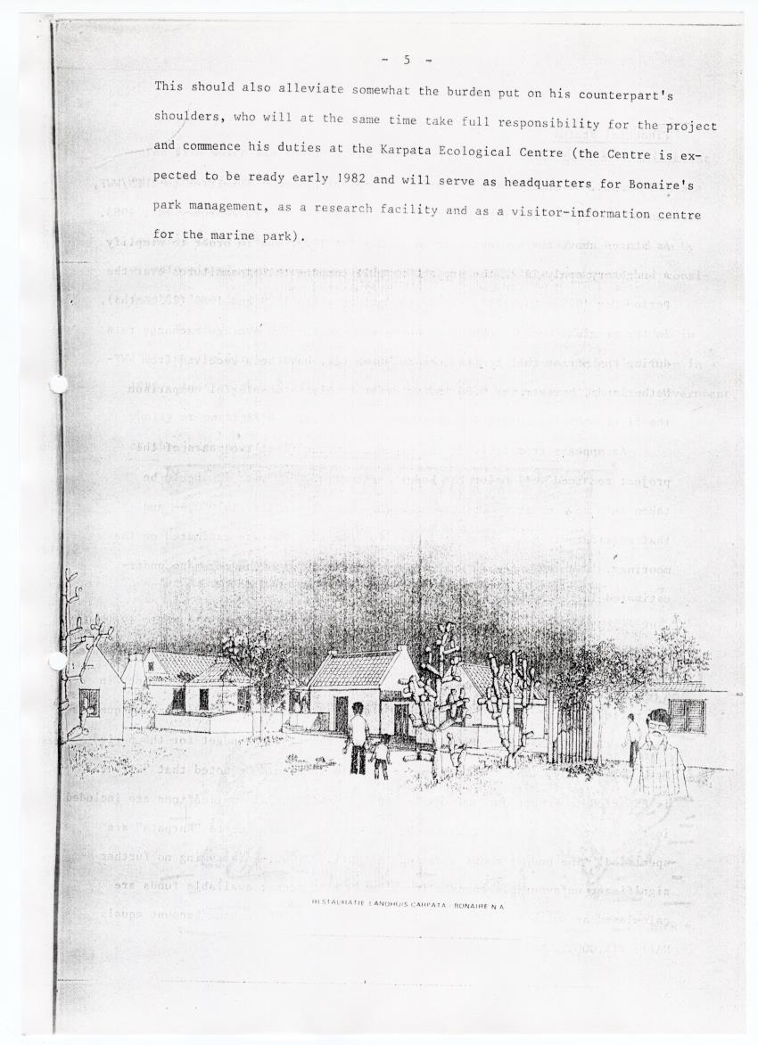 z Interim report on the previous history, the present status and future requirements of the Bonaire Marine Park (IUCN/WWF project 1496) - New Page