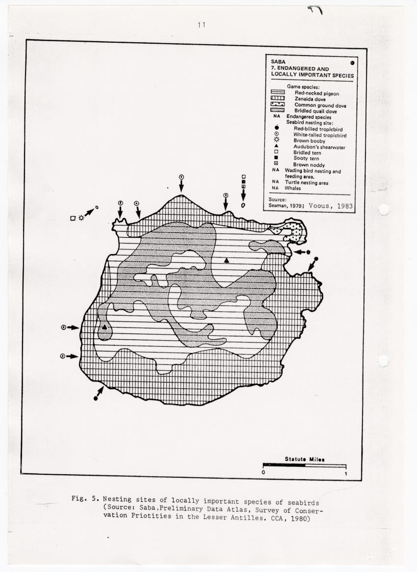 z Saba Marine Park - A proposal for integrated marine resource management in Saba - New Page