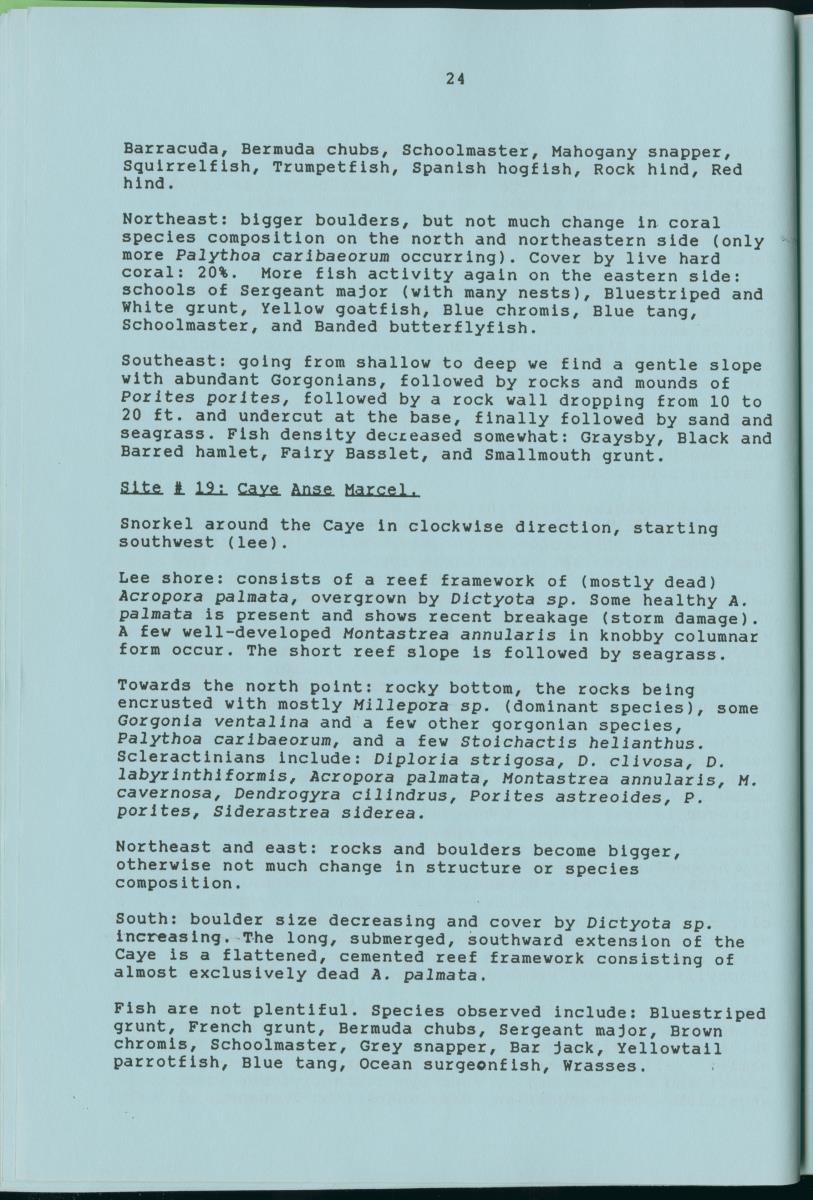 z Towards conservation of the marine environment St. Maarten / St. Martin - report of a preliminary reef survey prepared for Stinapa St. Maarten - New Page