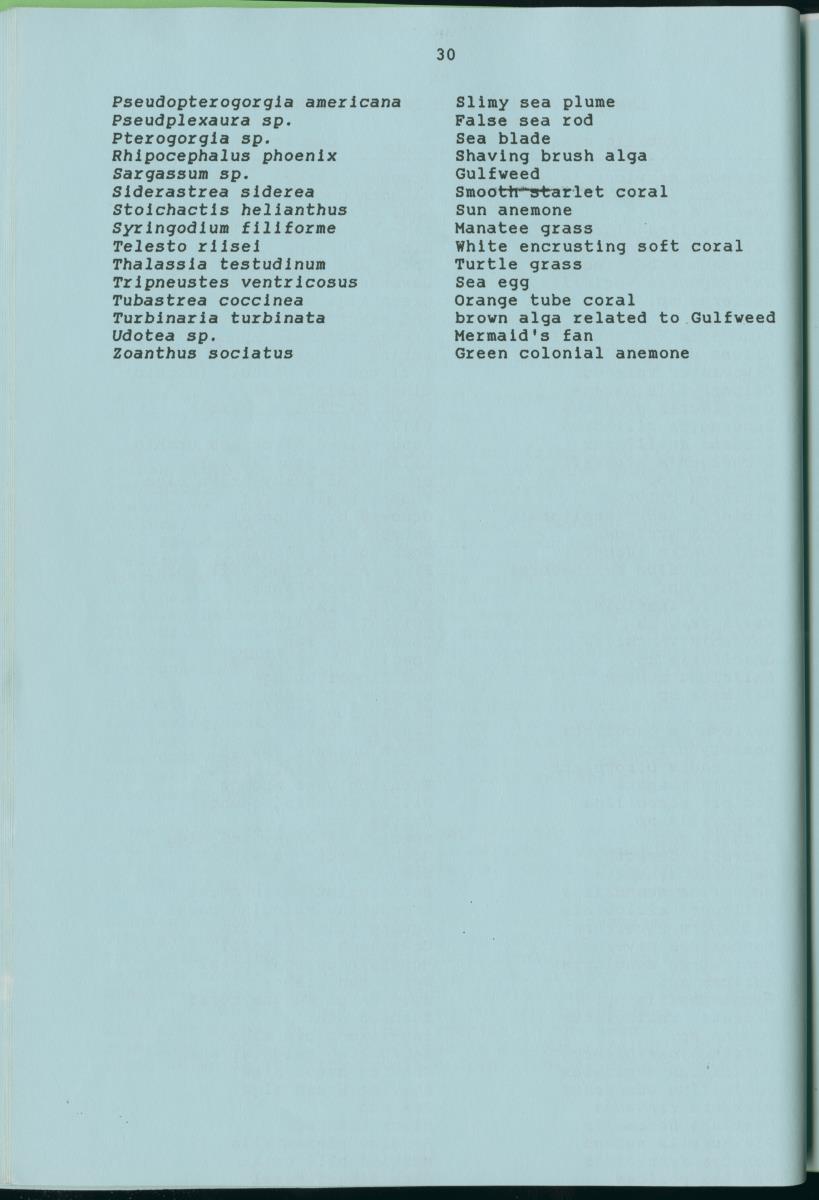 z Towards conservation of the marine environment St. Maarten / St. Martin - report of a preliminary reef survey prepared for Stinapa St. Maarten - New Page