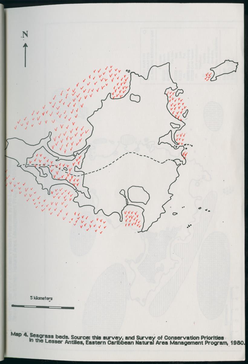 z Towards conservation of the marine environment St. Maarten / St. Martin - report of a preliminary reef survey prepared for Stinapa St. Maarten - New Page