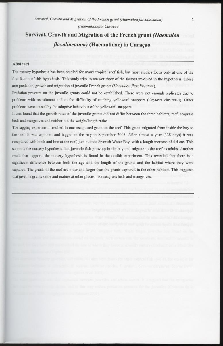 z Survival, Growth and Migration of the French grunt (Haemulon flavolineatum) (Haemulidae) in Curacao - New Page