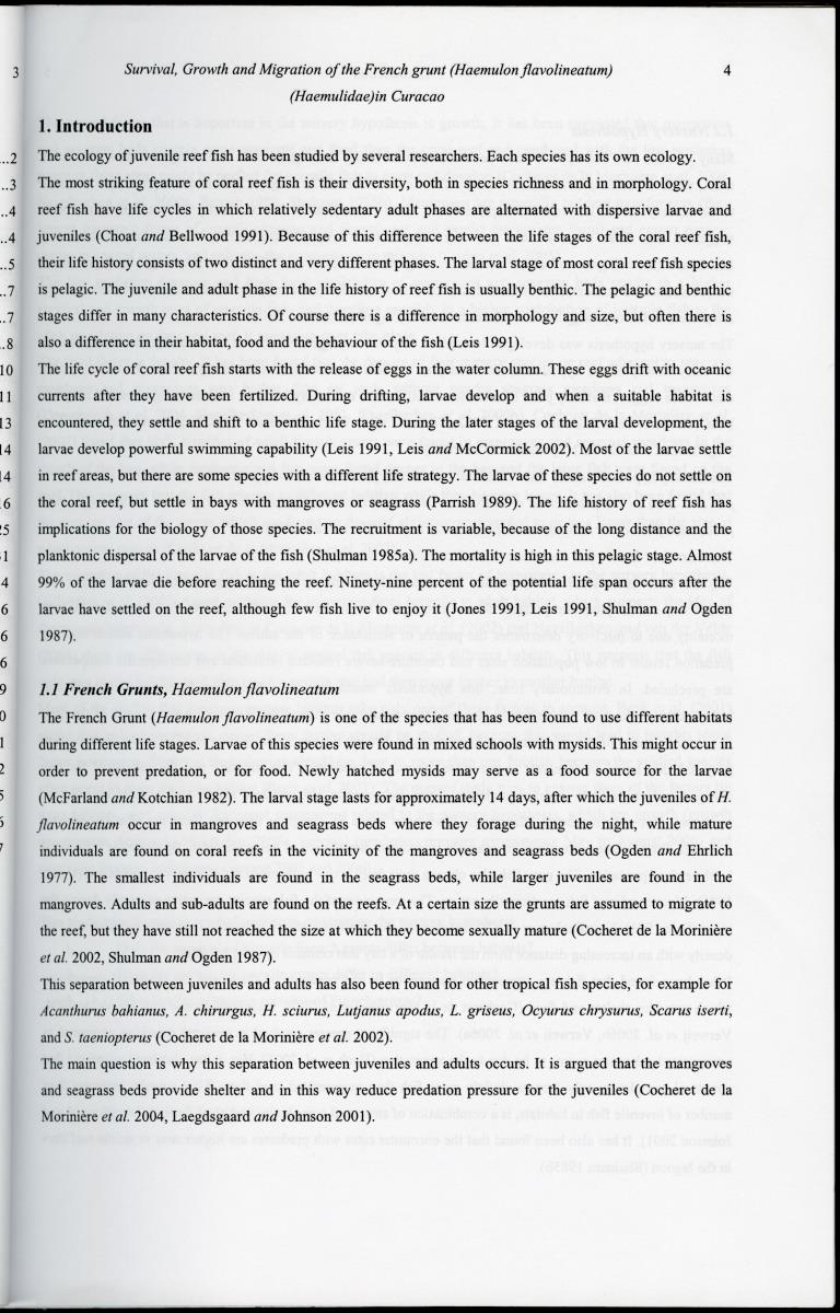 z Survival, Growth and Migration of the French grunt (Haemulon flavolineatum) (Haemulidae) in Curacao - New Page