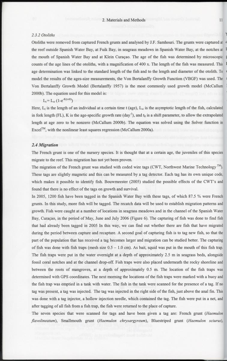 z Survival, Growth and Migration of the French grunt (Haemulon flavolineatum) (Haemulidae) in Curacao - New Page