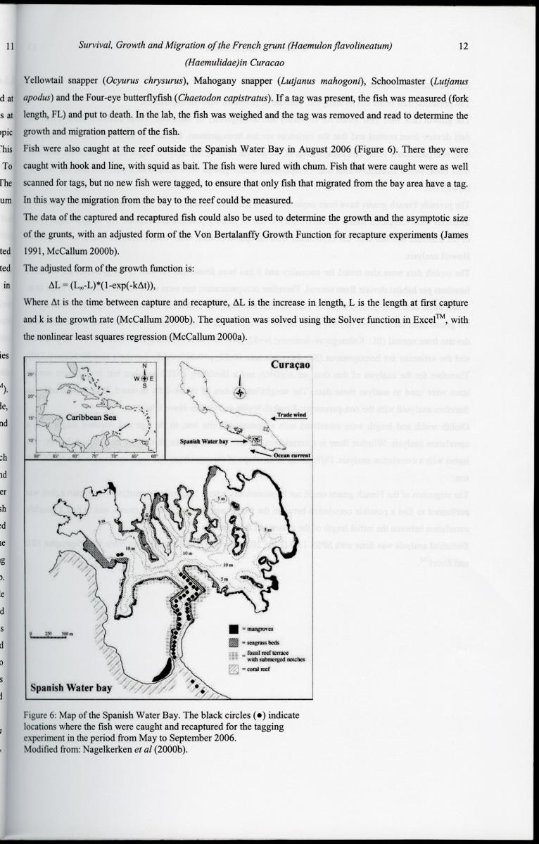 z Survival, Growth and Migration of the French grunt (Haemulon flavolineatum) (Haemulidae) in Curacao - New Page