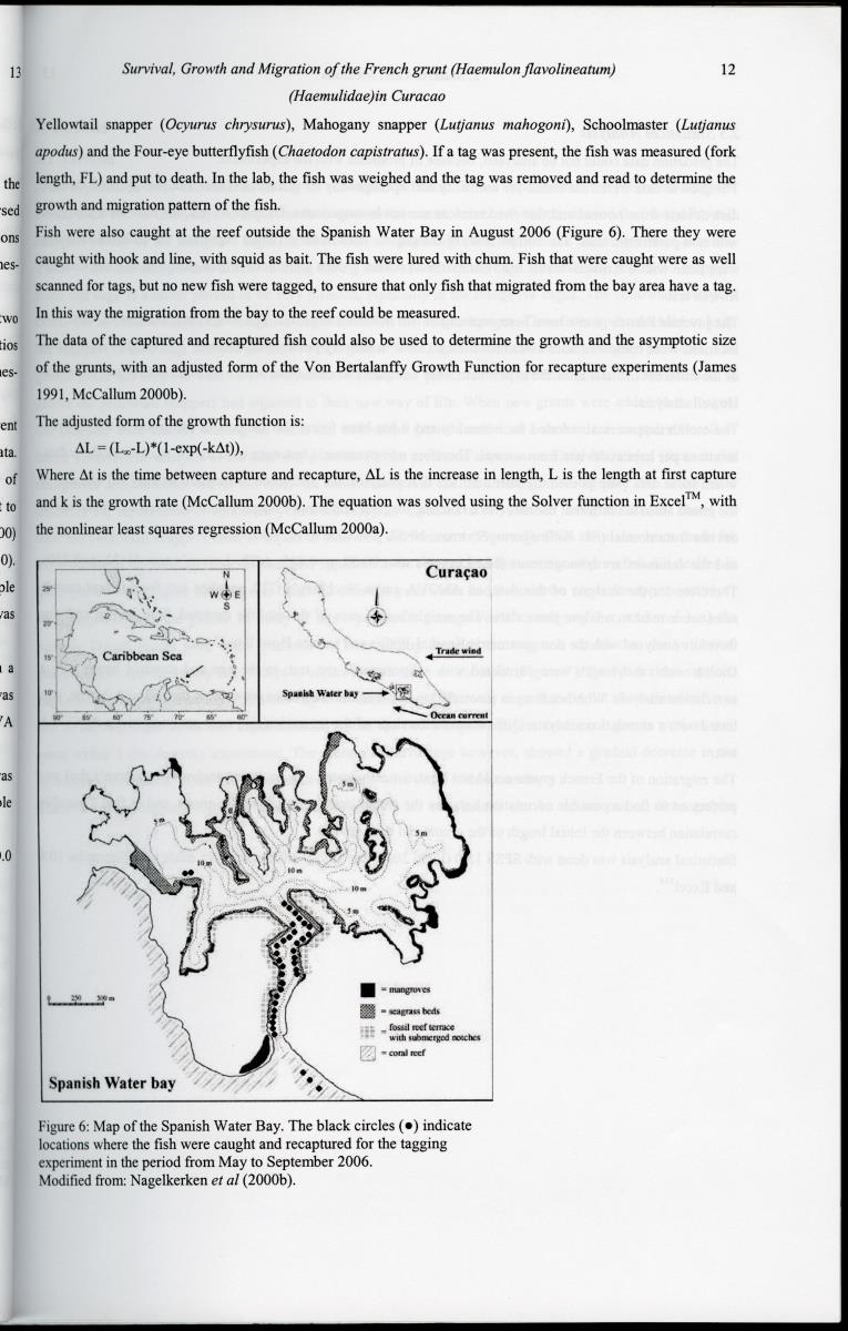 z Survival, Growth and Migration of the French grunt (Haemulon flavolineatum) (Haemulidae) in Curacao - New Page