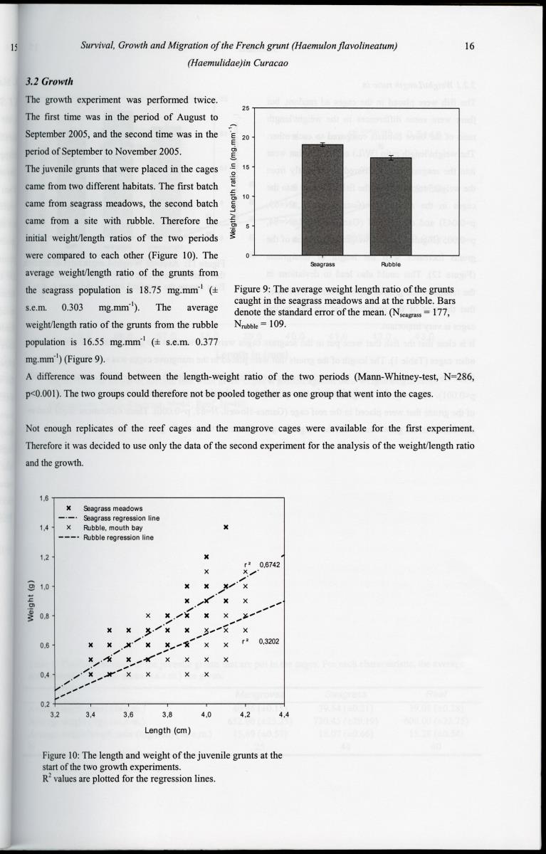 z Survival, Growth and Migration of the French grunt (Haemulon flavolineatum) (Haemulidae) in Curacao - New Page