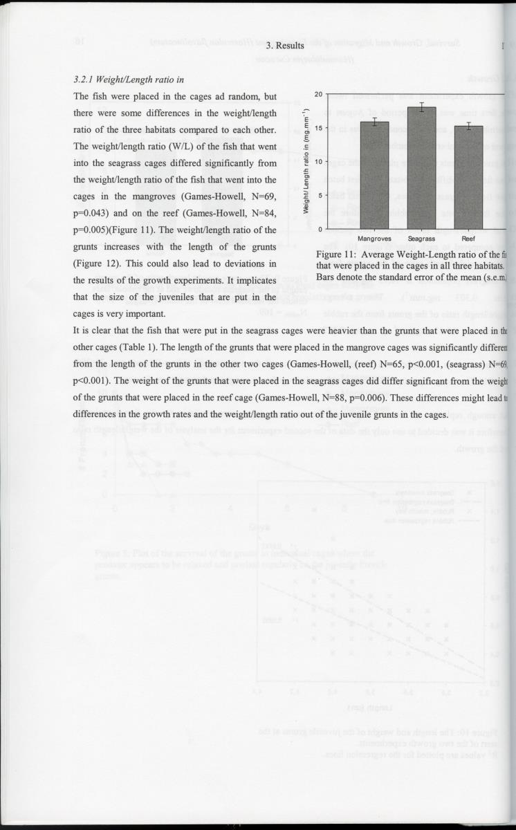 z Survival, Growth and Migration of the French grunt (Haemulon flavolineatum) (Haemulidae) in Curacao - New Page