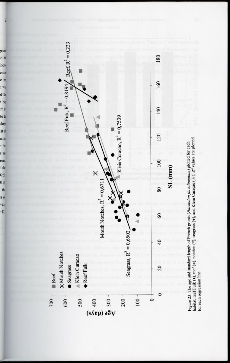 z Survival, Growth and Migration of the French grunt (Haemulon flavolineatum) (Haemulidae) in Curacao - New Page