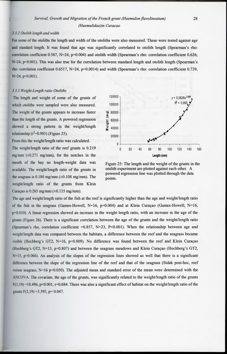 z Survival, Growth and Migration of the French grunt (Haemulon flavolineatum) (Haemulidae) in Curacao - New Page