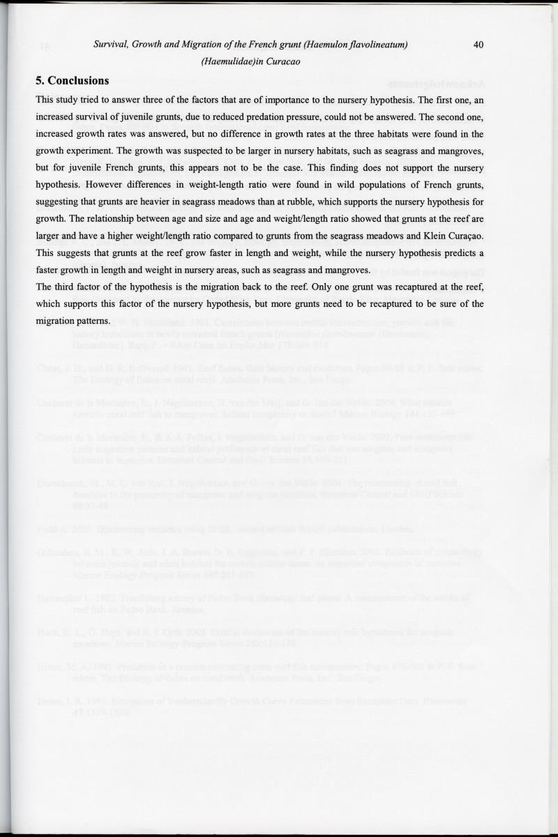 z Survival, Growth and Migration of the French grunt (Haemulon flavolineatum) (Haemulidae) in Curacao - New Page